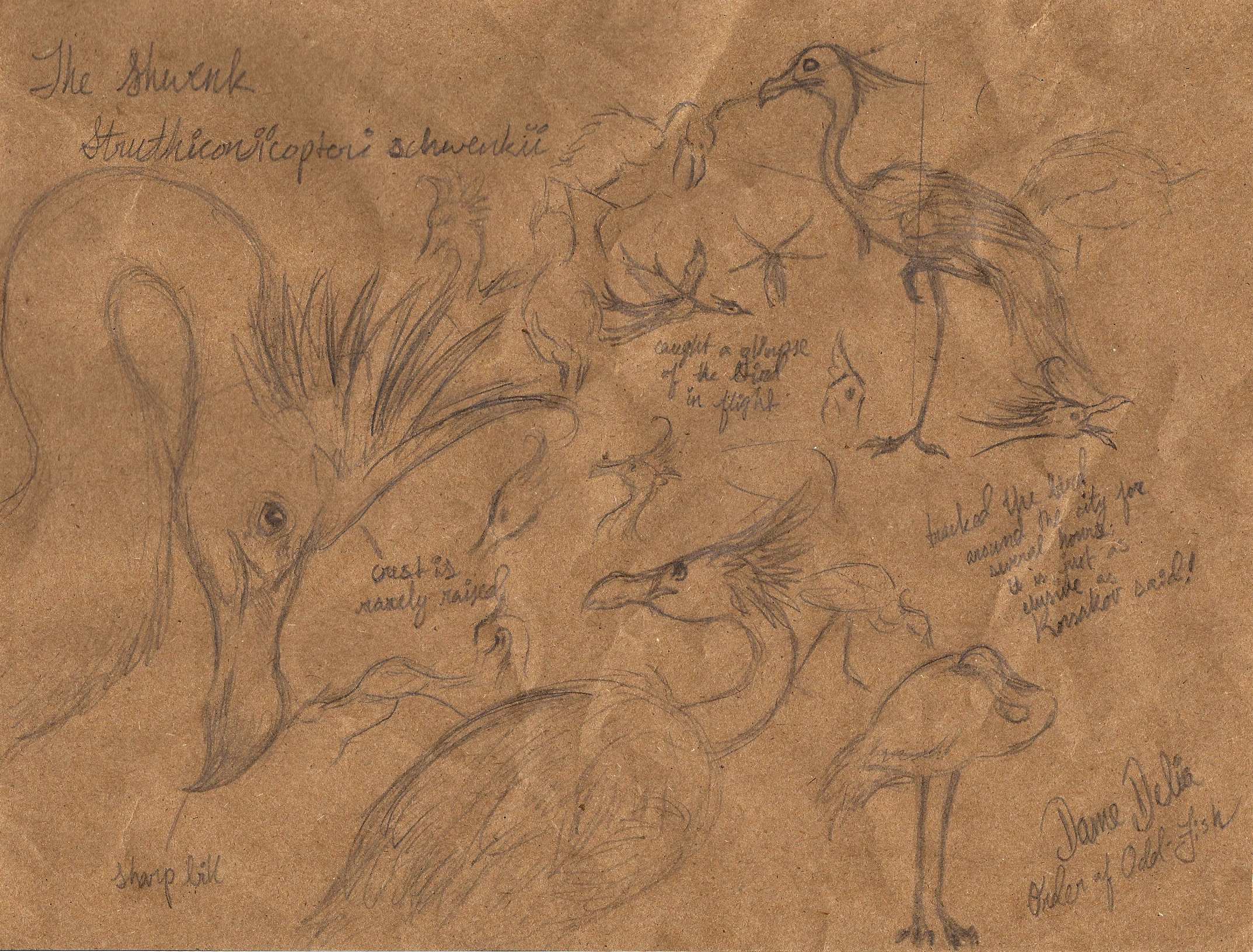 schwenk_notes_export